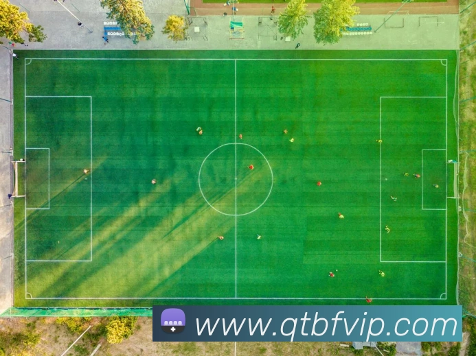 App Interface Preview